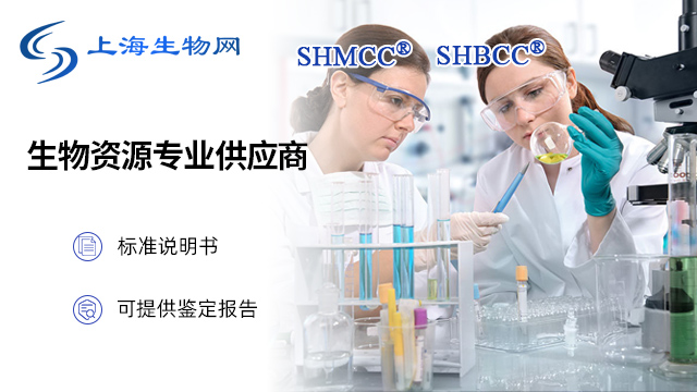 斯达氏油脂酵母SHMCCD57497=JCM3767-坚菌丝单顶孢-越南伯克霍尔